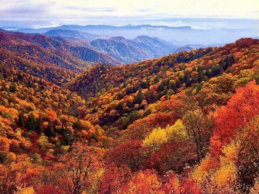 Whiskey Ridge Lodge, A Restored 1940S Gem, 2 Mins From Downtown, Breathtaking City Views, Custom Game Room, And Spacious Elegance Gatlinburg Zewnętrze zdjęcie